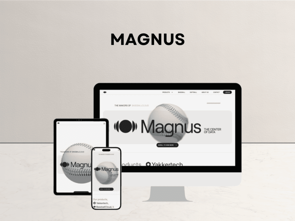 Magnus case study